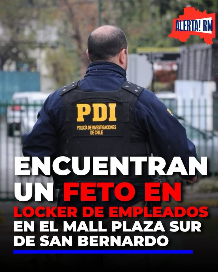 🚨Impacto en San Bernardo tras el hallazgo de un feto al interior de…