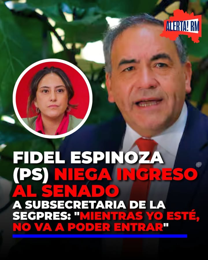 🚨La subsecretaria Segpres, Constanza Castillo, no pudo ingresar a l…