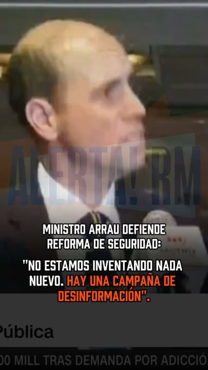 El ministro de Seguridad, Martín Arrau, defendió la reforma constitu…