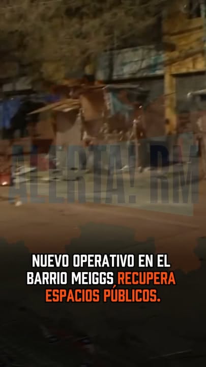 Equipos municipales y Carabineros realizaron un operativo durante la m…